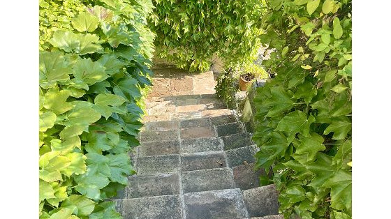 Image 20